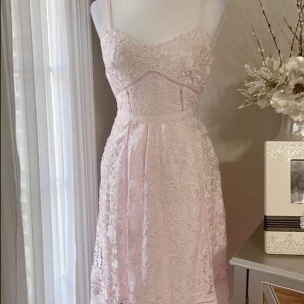 NWT Ted Baker Valens Mixed Lace Dress Pale Pink 1